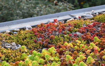 the cost of Kingston Maurward green roof installation