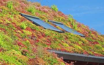 Kingston Maurward living roof systems