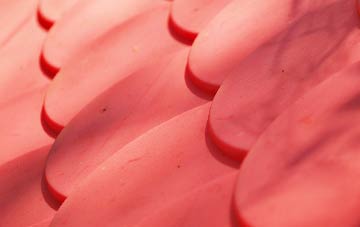 Kingston Maurward plastic roof costs