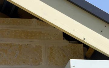 soffit repair Kingston Maurward
