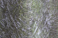 Kingston Maurward fibreglass roof work